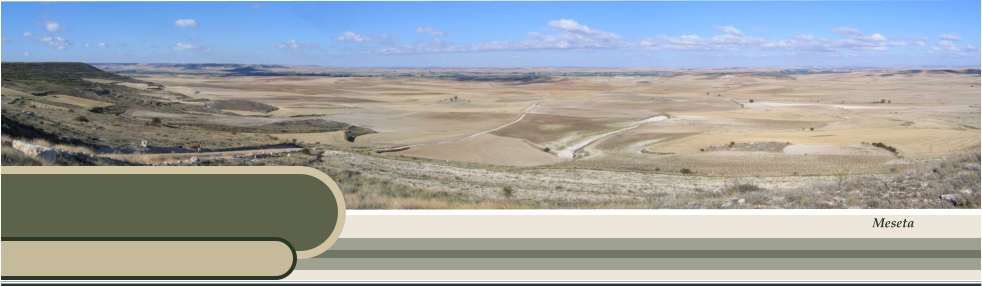 Meseta